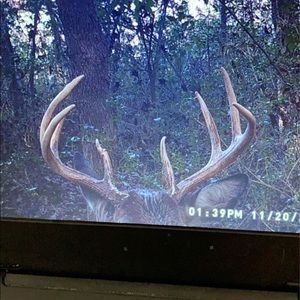 Meet your Posher, Dillon